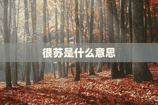 很苏是什么意思(声音很苏是什么意思)